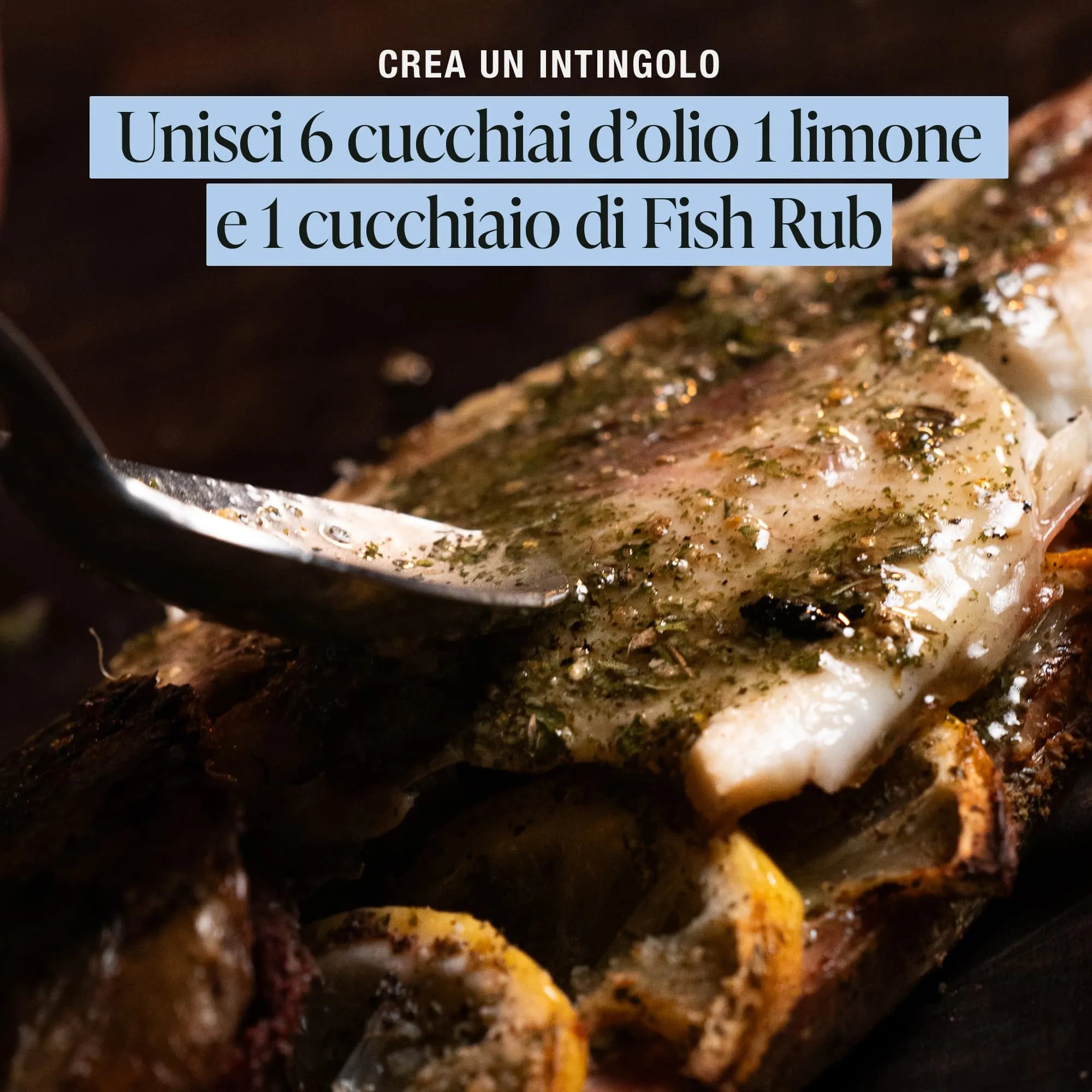 Fire Box Rub Combo 12 Pack