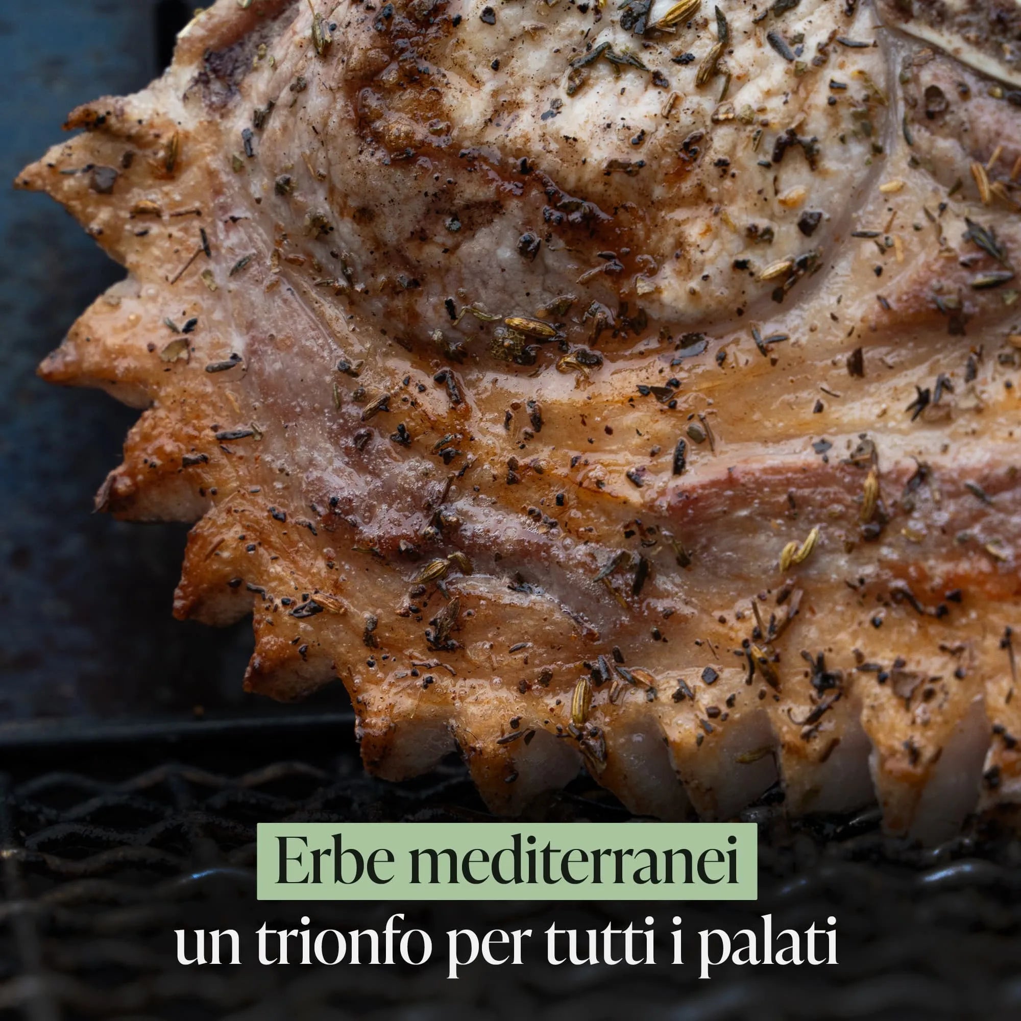 Fire Box Rub Combo 12 Pack